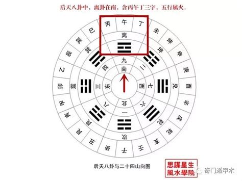 離卦代表什麼